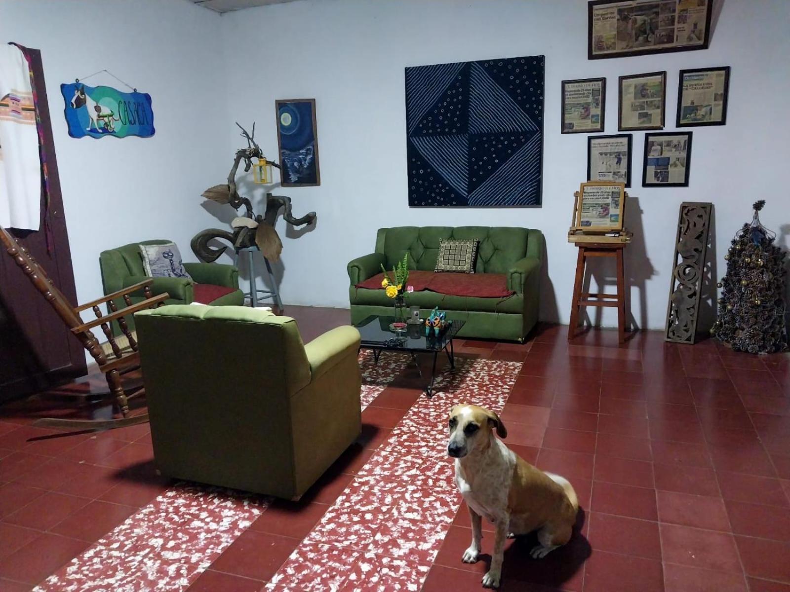 Ferienwohnung Casaca Concepción de Ataco Exterior foto